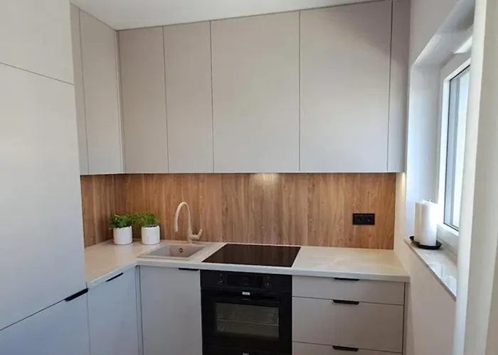 Magnolia * ポズナン